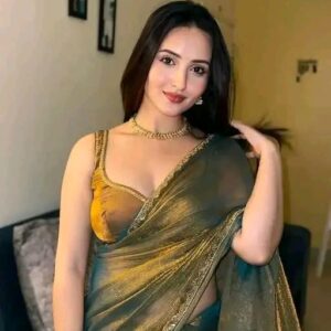 NEW RICH CHFFORN FENDY SOFT FABRIC ALPNG RICH BORDER LOOK SAREE WITH BLOUSE